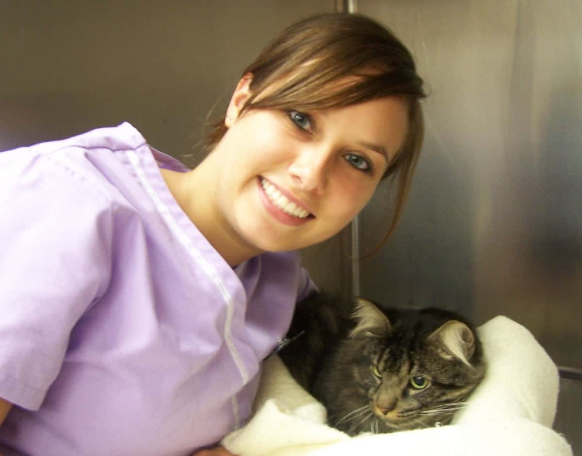 The Importance Of Veterinary Technicians | Town & Country Veterinary Clinic