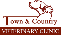 Town & Country Veterinary Clinic | Marietta, GA Pet Hospital