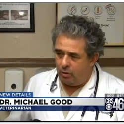 Dr. Michael Good in the news for rescuing puppies.
