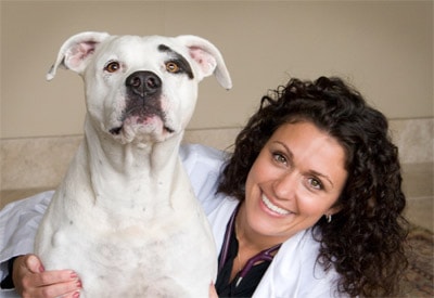 A woman in a white coat holding a white dog.