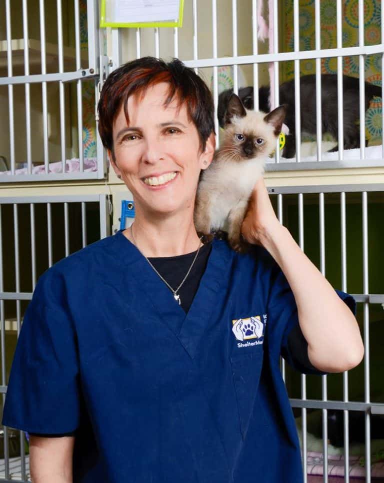 Dr. Hurley and Dr. Levy Aim to Save One Million Cats